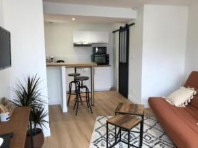TERRA Studio cosy et calme proche du centre avec parking TV et Wifi